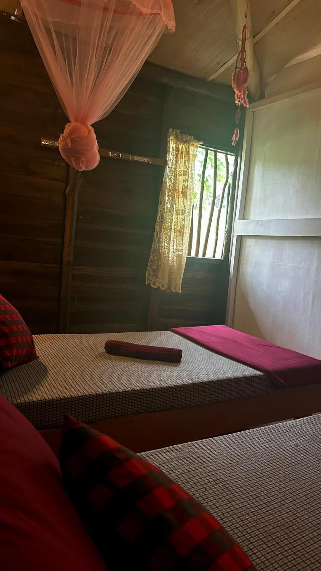 A Lounge Hostel And Cafe 埃拉 外观 照片